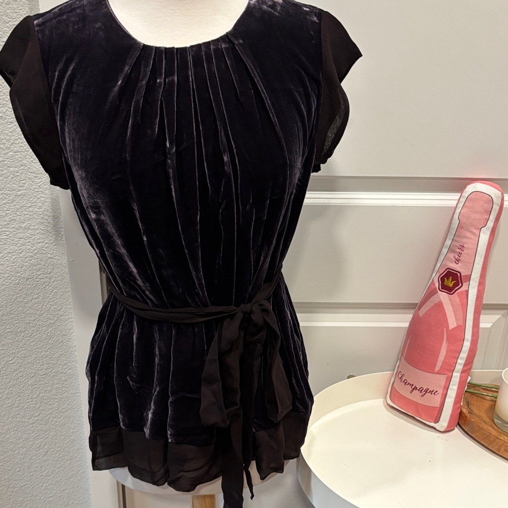 BCBGMaxAzria Aubergine and Black Velvet Blouse